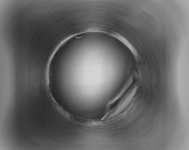 X0000101411148200807211050