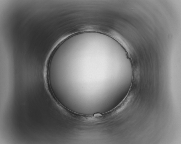 X0000101411149200807211050