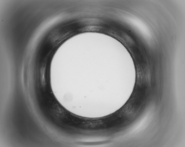 X0000101411150200807211050