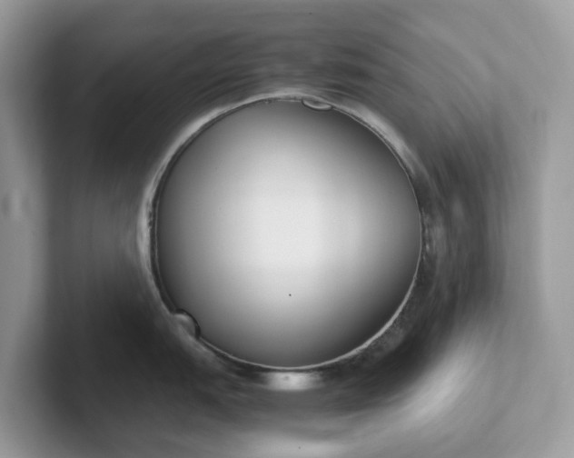 X0000101411151200807211050