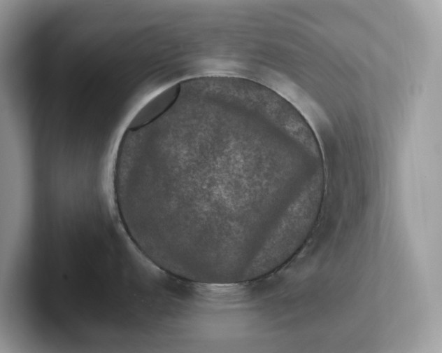 X0000101411152200807211050