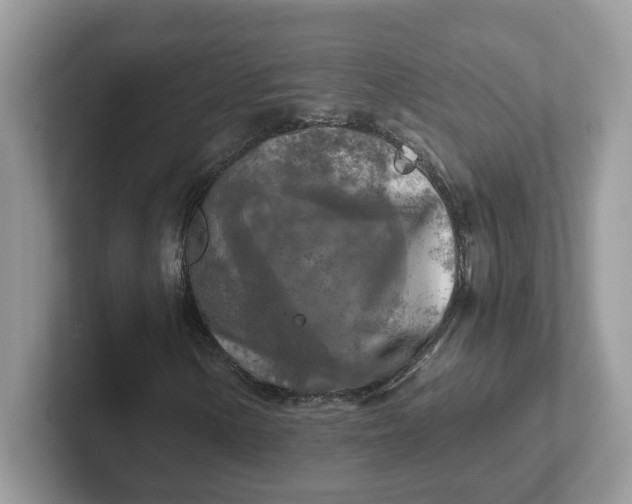 X0000101411154200807211049