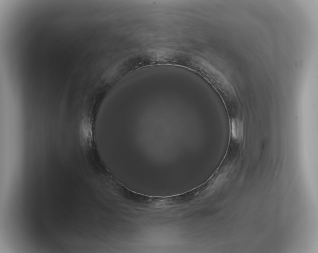 X0000101411155200807211049