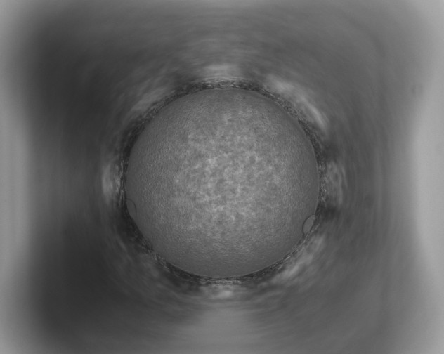 X0000101411157200807211049