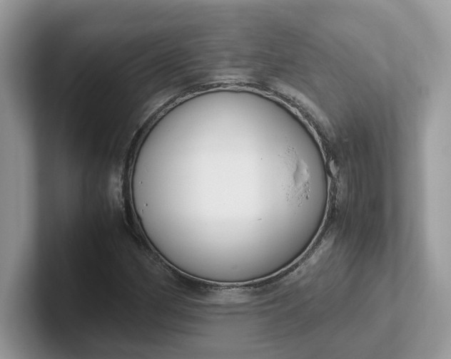 X0000101411162200807211049