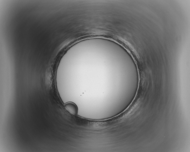 X0000101411163200807211049