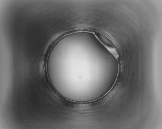 X0000101411164200807211049