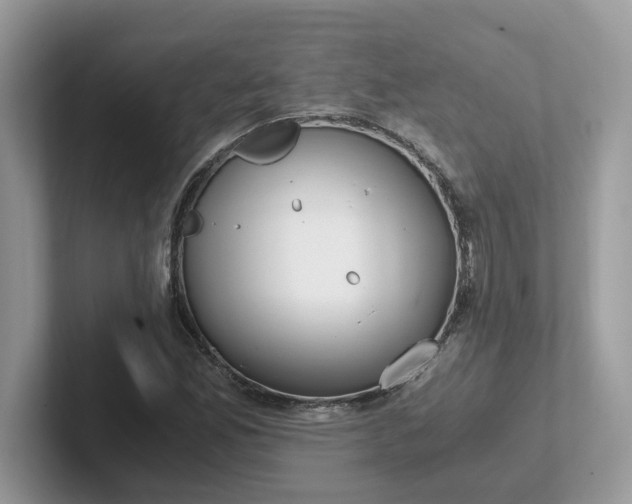 X0000101411165200807211049