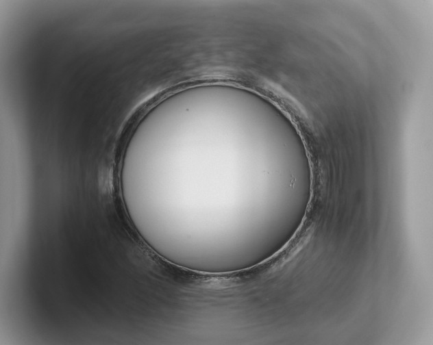 X0000101411166200807211049