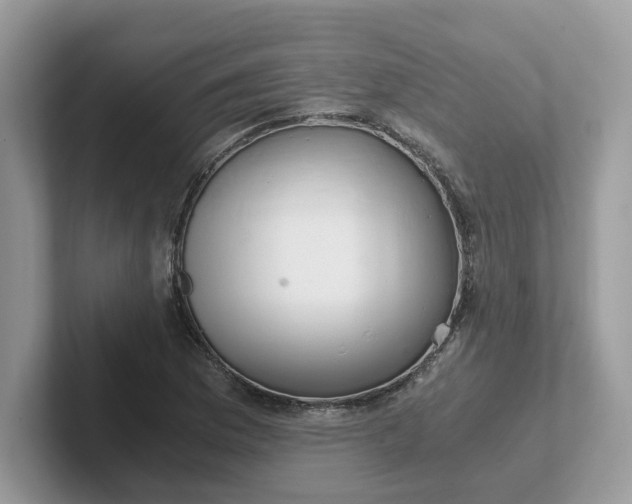 X0000101411169200807211049