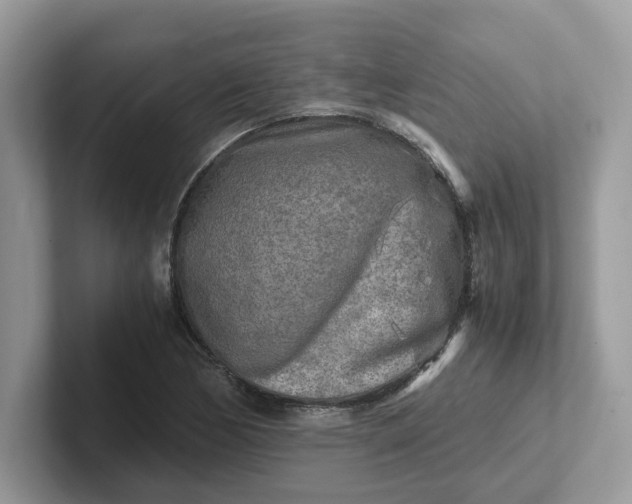 X0000101411170200807211049