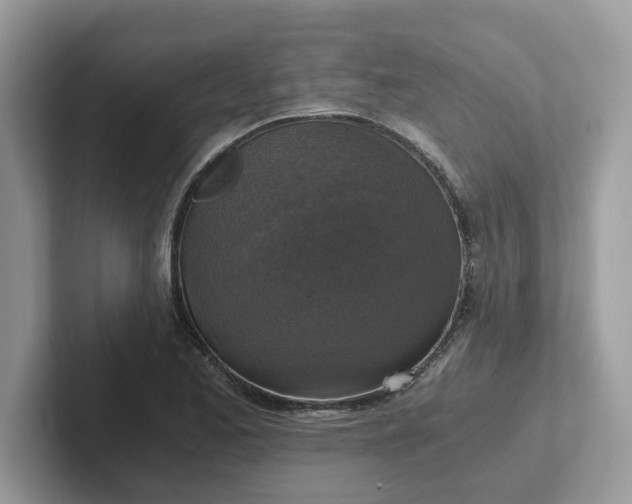 X0000101411173200807211049