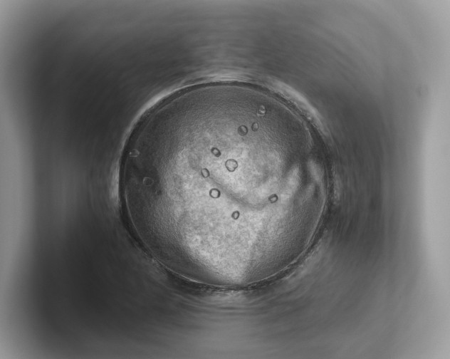 X0000101411174200807211049