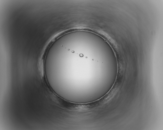 X0000101411175200807211049