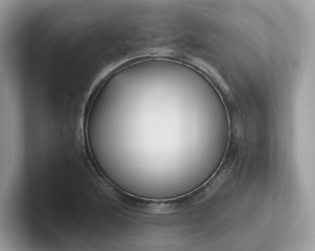 X0000101411176200807211049