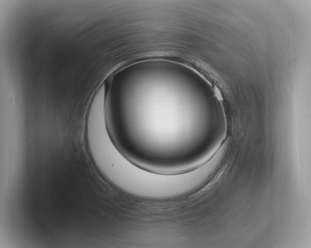 X0000101411177200807211049