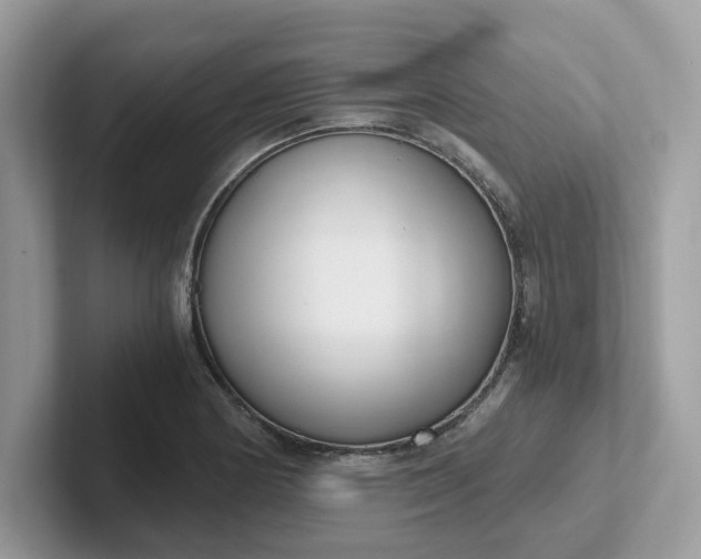 X0000101411178200807211049