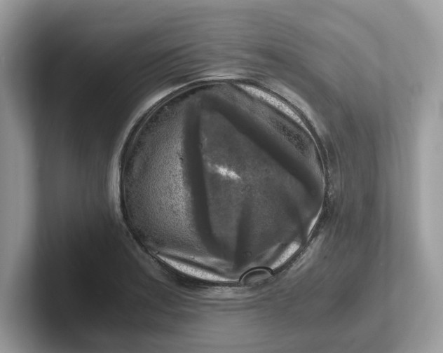 X0000101411179200807211049