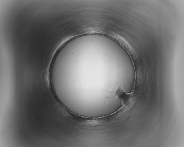 X0000101411182200807211049