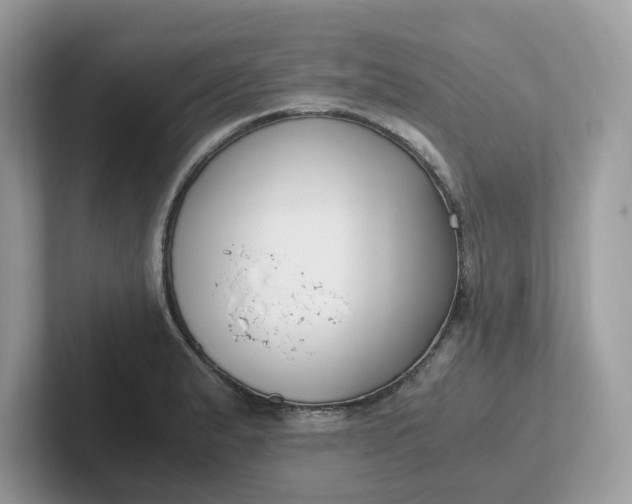 X0000101411183200807211049