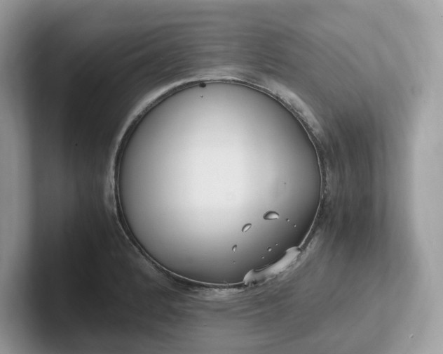 X0000101411184200807211049