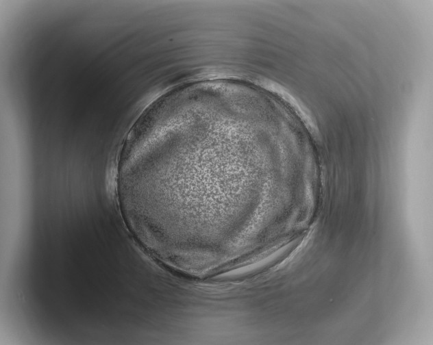 X0000101411185200807211049