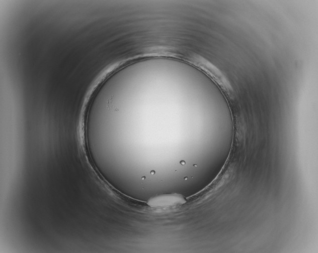 X0000101411188200807211049