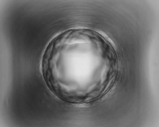 X0000101411189200807211049