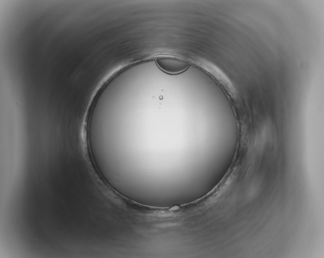 X0000101411190200807211049