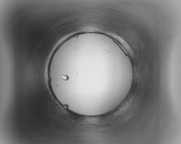 X0000101411191200807211049