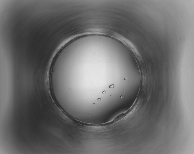 X0000101411192200807211049