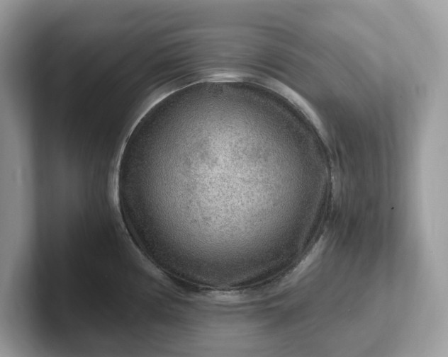 X0000101411194200807211049