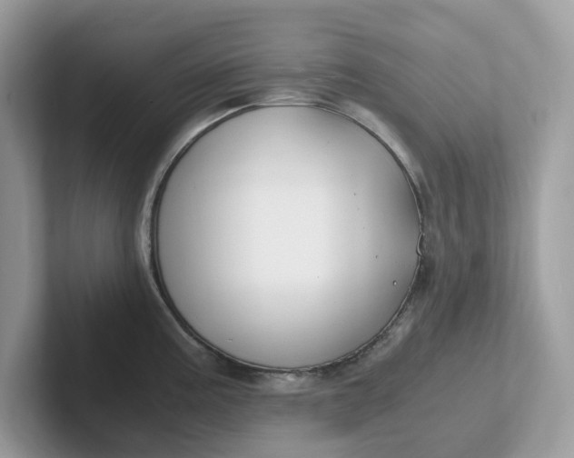 X0000101411195200807211049