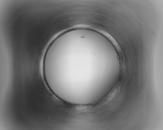 X0000101411199200807211049