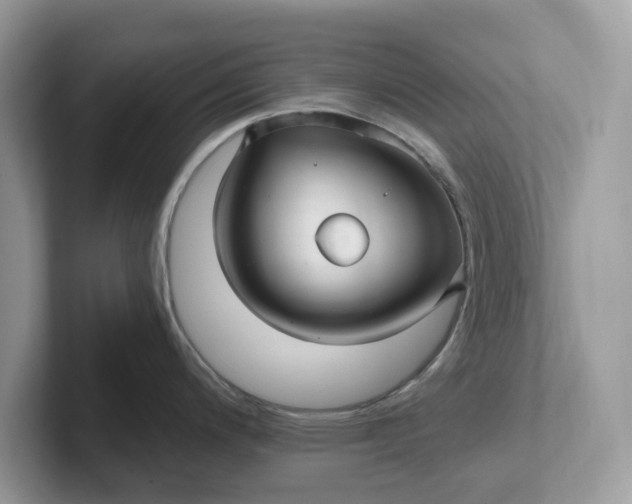 X0000101411200200807211049