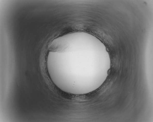 X0000101411201200807211048