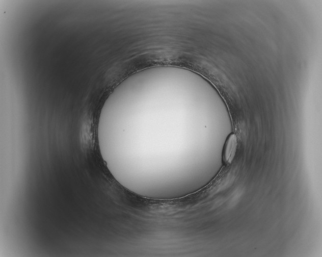 X0000101411202200807211048