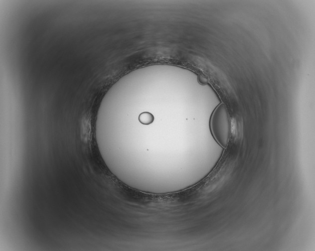 X0000101411203200807211048