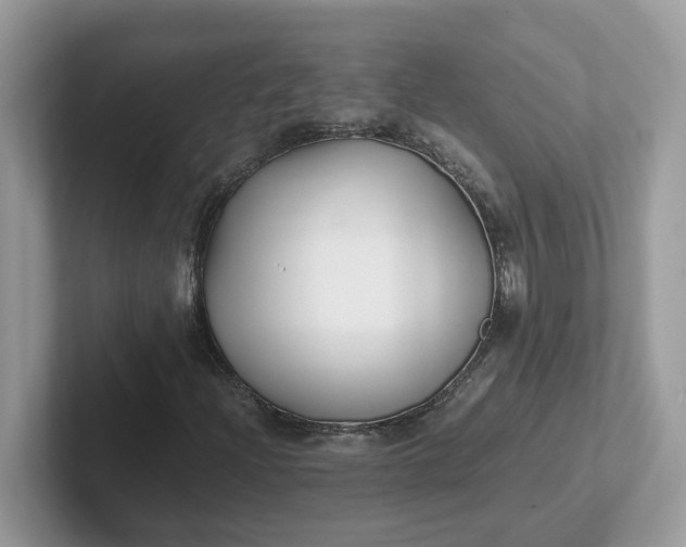 X0000101411204200807211048