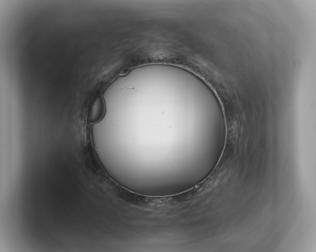 X0000101411205200807211048