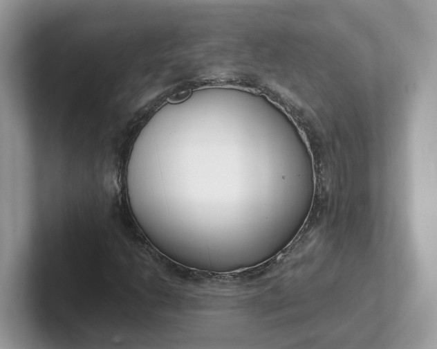 X0000101411206200807211048