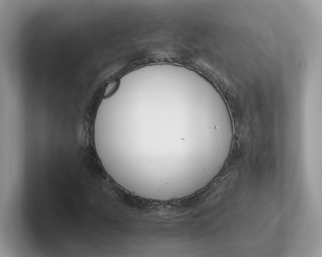 X0000101411207200807211048