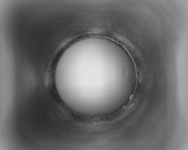 X0000101411208200807211048