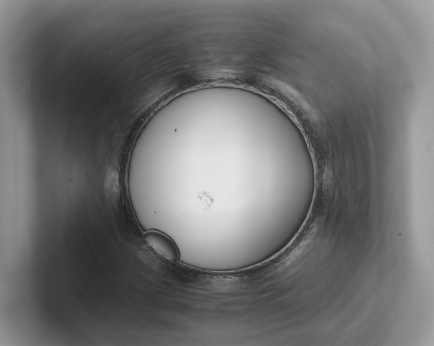 X0000101411209200807211048