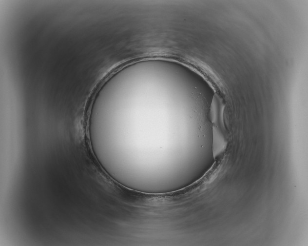 X0000101411212200807211048