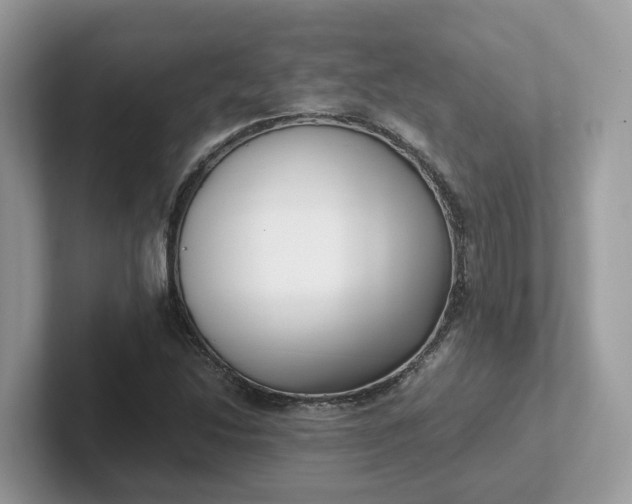 X0000101411214200807211048