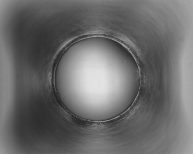 X0000101411216200807211048