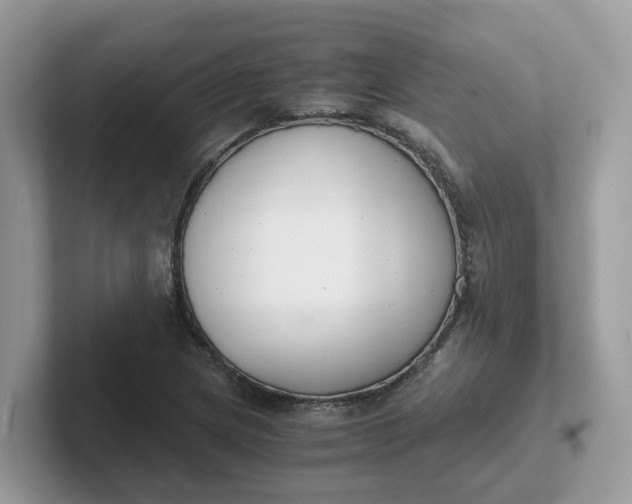 X0000101411217200807211048