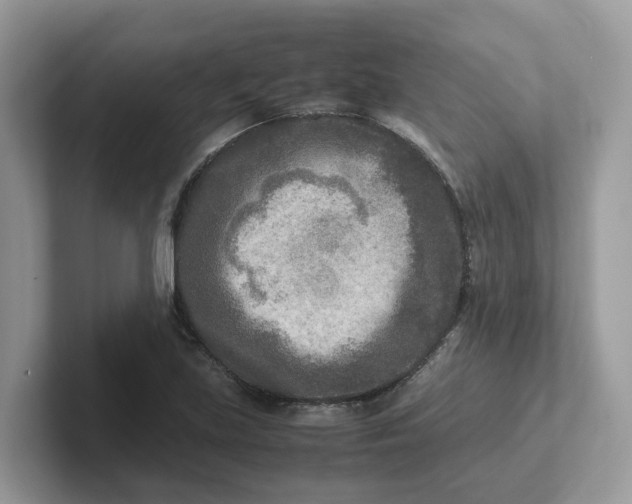 X0000101411219200807211048