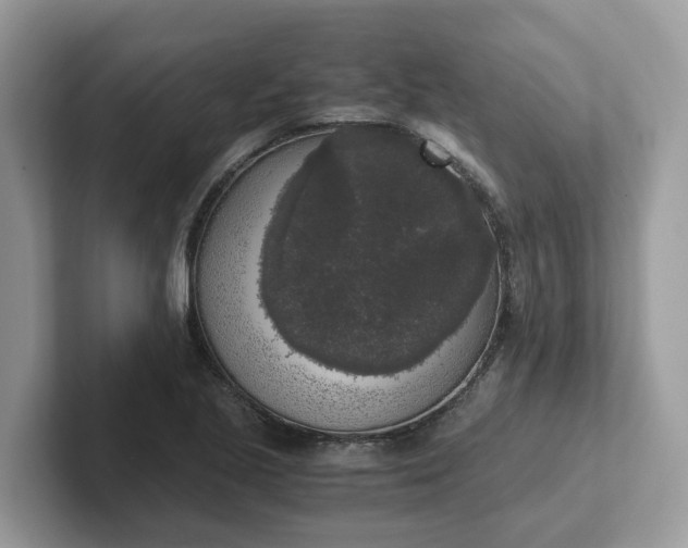 X0000101411221200807211048